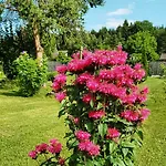 شقة Northwest
