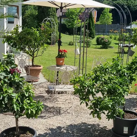 Lemon Yard