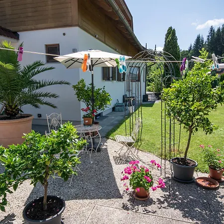 Lemon Yard Apartment
