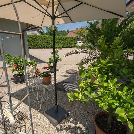 Lemon Yard