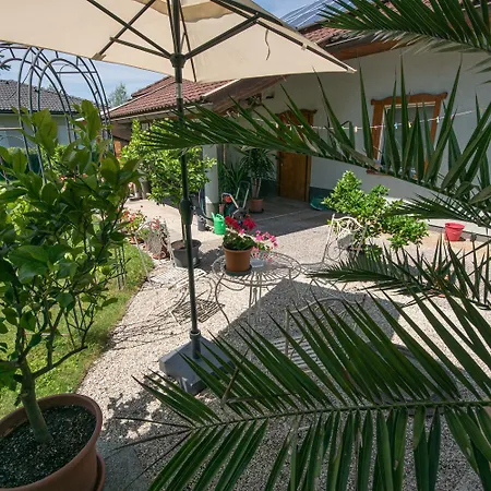 Lemon Yard Apartment *