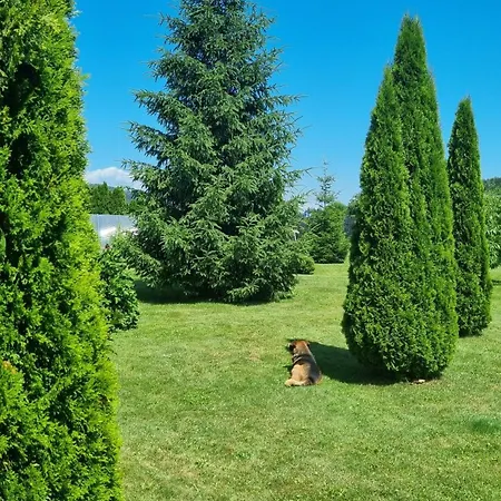 Northwest Apartmán *