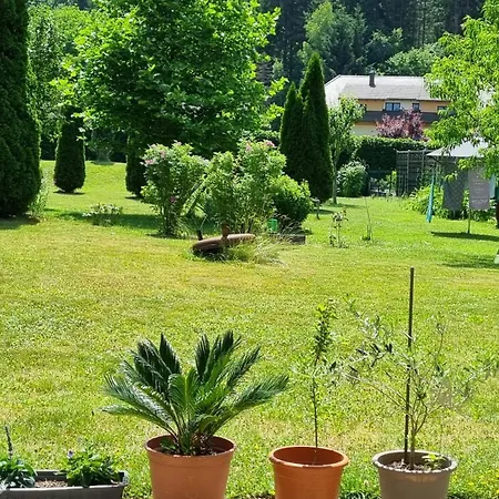 Lemon Yard *
