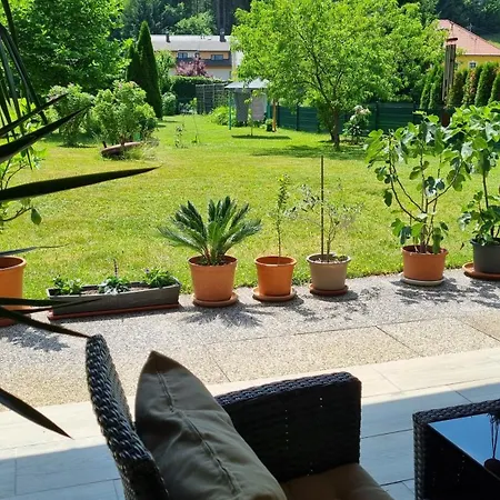 Lemon Yard Apartment *
