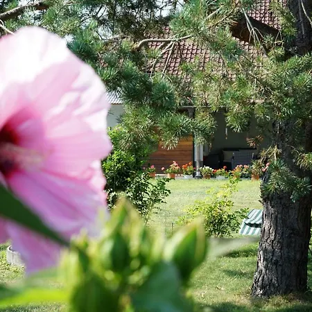 Apartmán Northwest *