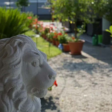 Lemon Yard Klagenfurt am Woerthersee