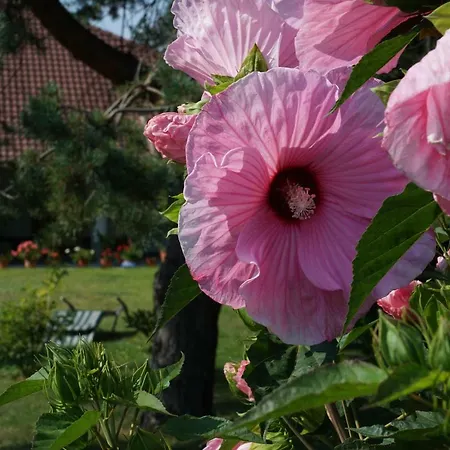 Northwest Klagenfurt am Woerthersee