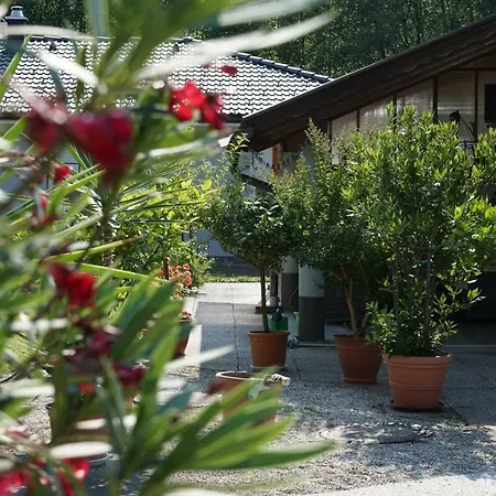 Lemon Yard Apartment