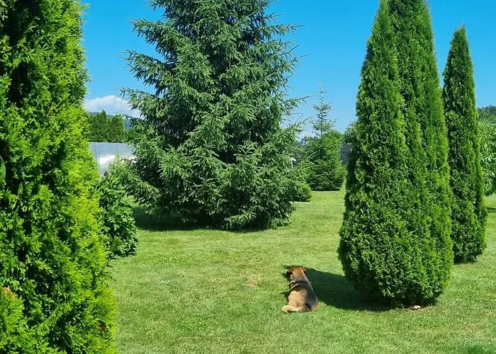 Northwest דירה *