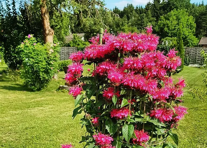 Apartamento Northwest